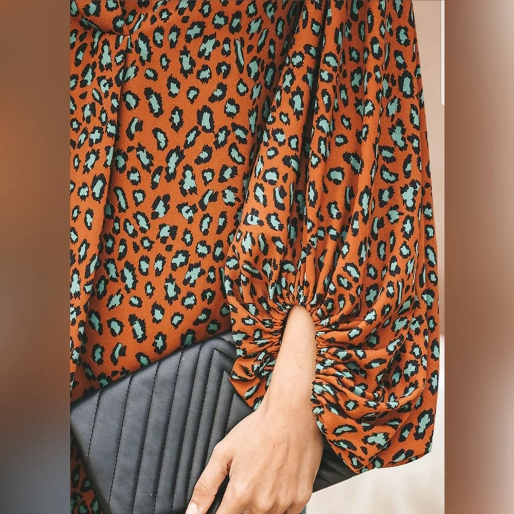 Printed V Neck Lantern Sleeve Blouse Button Down - Picture 4 of 4